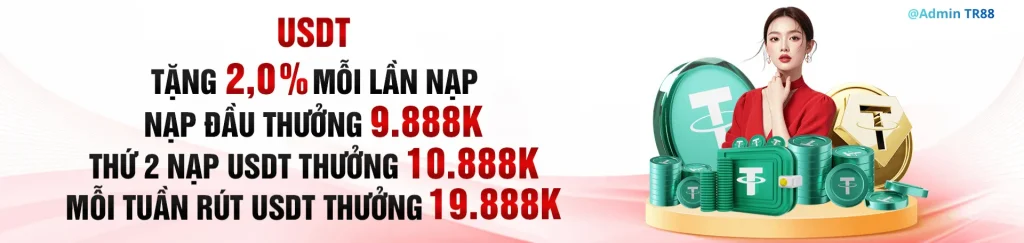 trang 29tr88 nạp usdt tặng 2%